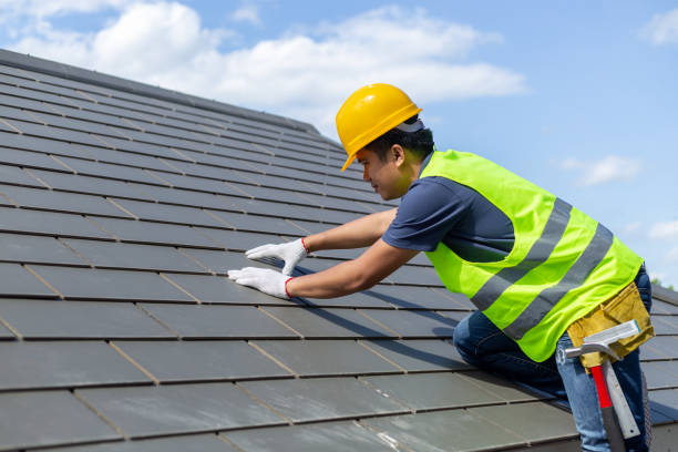 Roof Gutter Cleaning in Hayden, CO