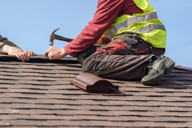 Best Shingle Roofing Installation  in Hayden, CO